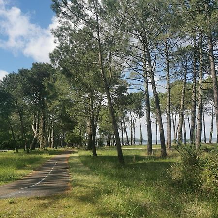 Appartements Au Coeur Du Golf, Proche Du Lac Et Velodyssee Biscarrosse Dış mekan fotoğraf