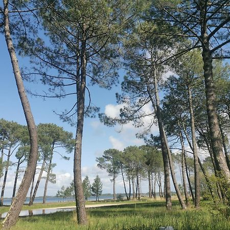 Appartements Au Coeur Du Golf, Proche Du Lac Et Velodyssee Biscarrosse Dış mekan fotoğraf