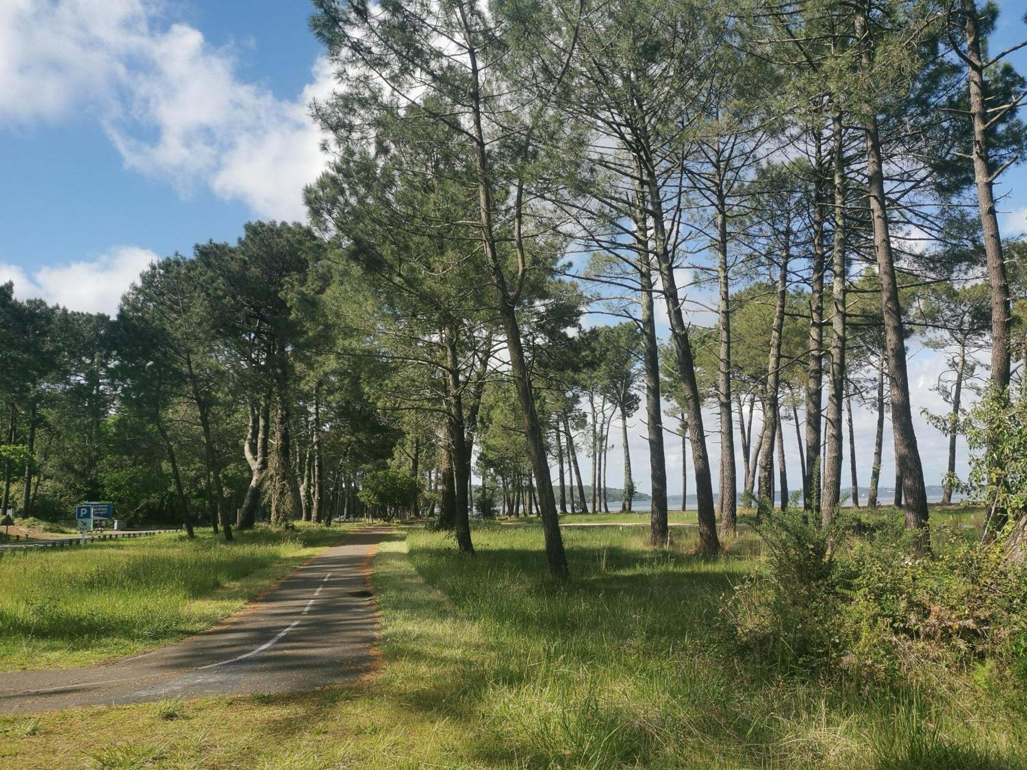 Appartements Au Coeur Du Golf, Proche Du Lac Et Velodyssee Biscarrosse Dış mekan fotoğraf